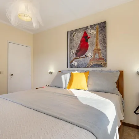 Apartamento Beca's House *